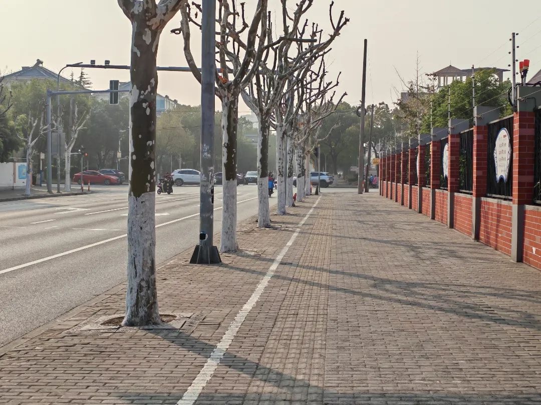 树木如何安全过冬？市绿化市容局揭秘贴心冬防套餐  第3张