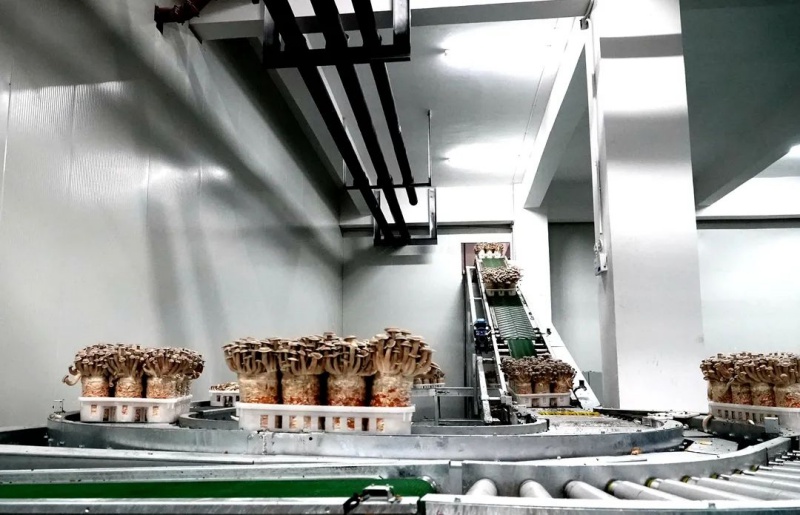 道真自治县企业如何在新春伊始实现生产开门红？  第2张