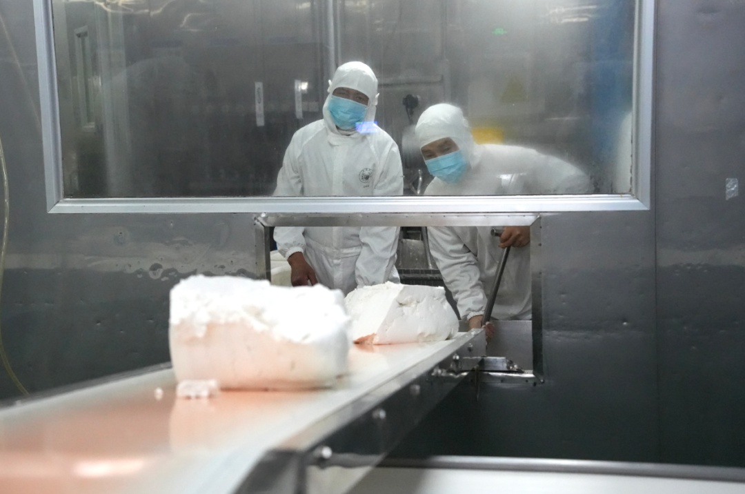 新春开工大吉，镇海区企业如何迎接乙巳年开门红？  第10张