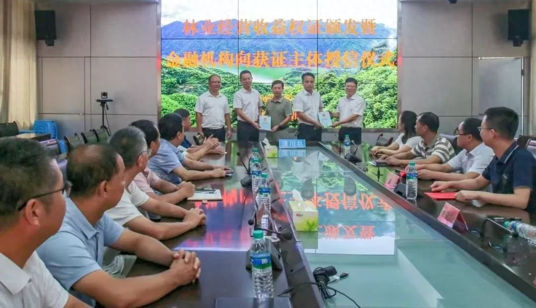 吉安市林权改革惊现新贷款业务模式!你知道吗?  第1张