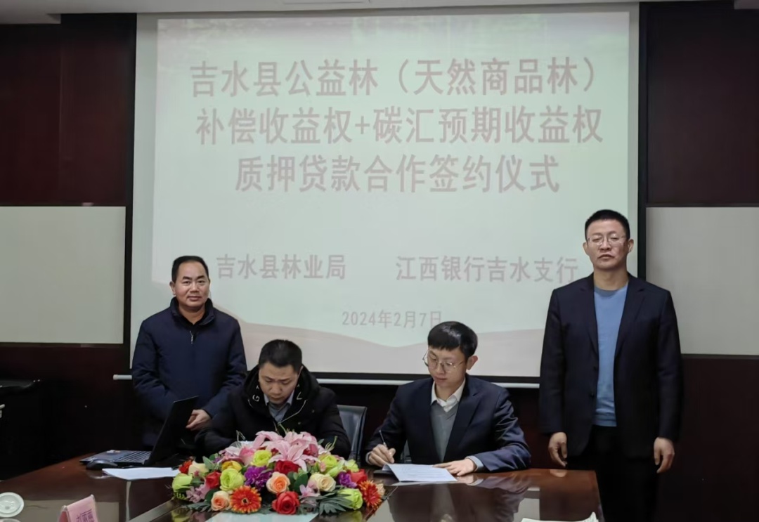 吉安市林权改革惊现新贷款业务模式!你知道吗?  第2张