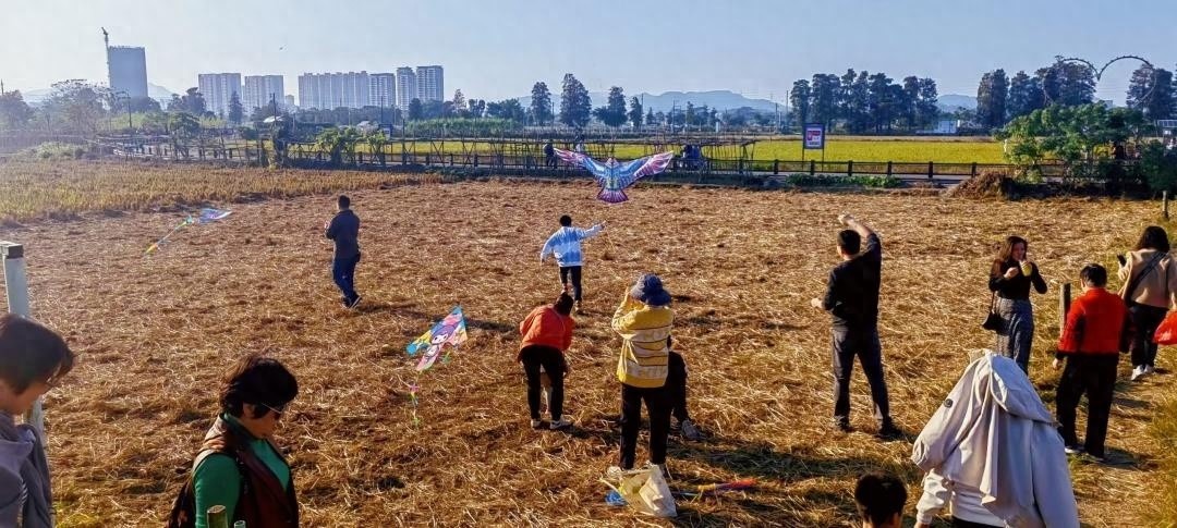 中山市国土空间总体规划获批！两带四区多点布局将如何改变你的生活？  第1张