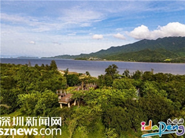 想要逃离城市喧嚣？坝光白沙湾公园，山海间的亲水乐园等你来探索