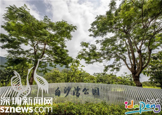 想要逃离城市喧嚣？坝光白沙湾公园，山海间的亲水乐园等你来探索  第2张
