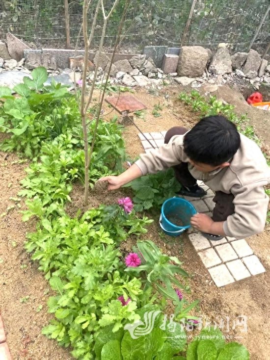 你知道吗？一棵树竟能带来如此大的改变！地都镇的绿色奇迹