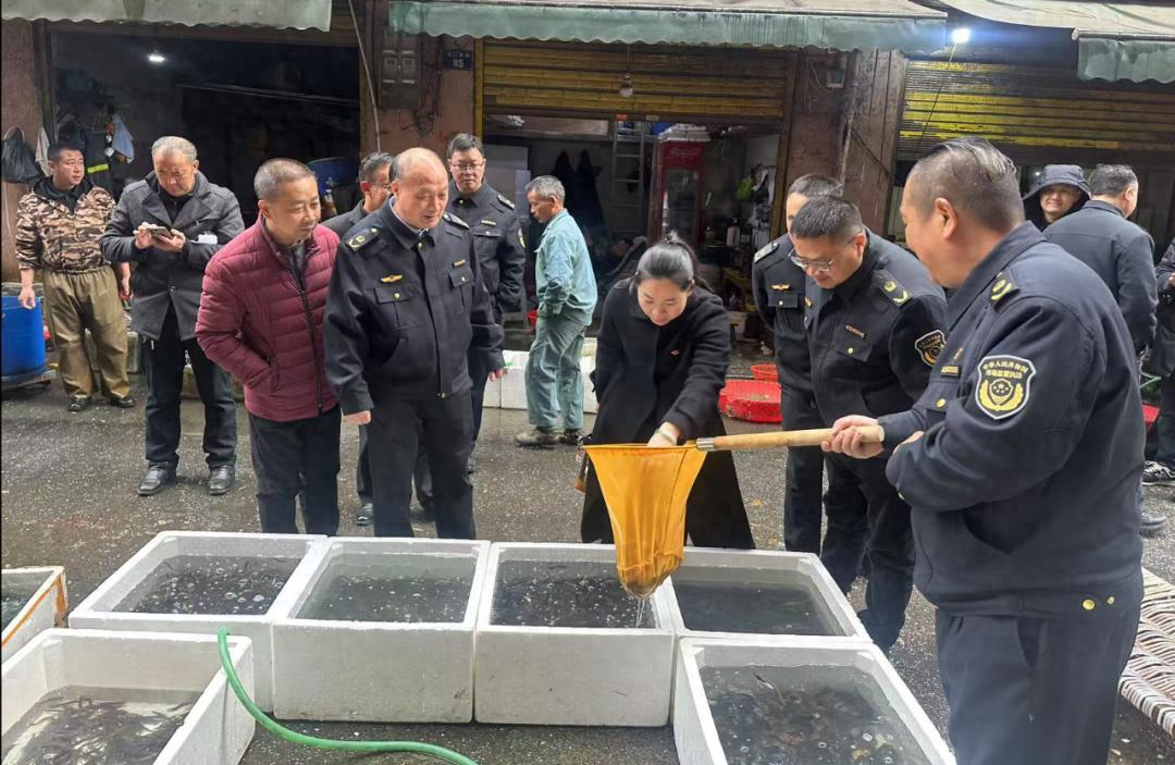 永州市严查食用农产品安全，你的菜篮子真的安全吗？  第1张