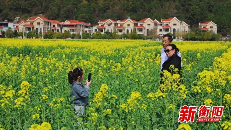 衡阳县油菜花海盛大启幕，你准备好迎接这场视觉盛宴了吗？