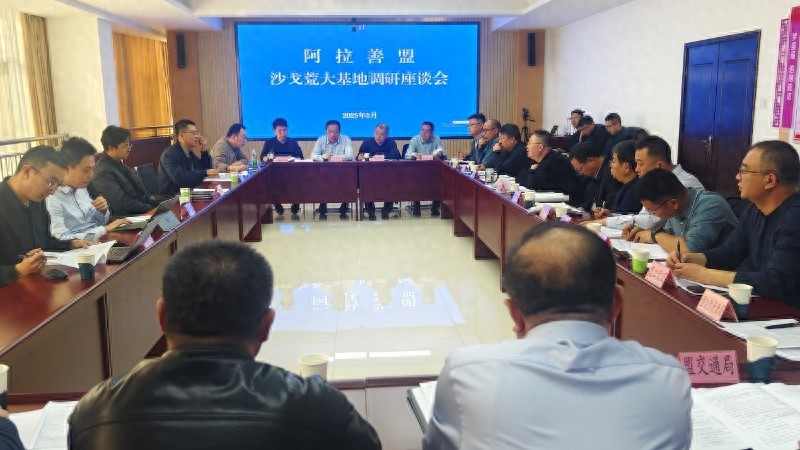 阿拉善沙漠新能源大基地：国家战略布局的关键一步，你了解多少？