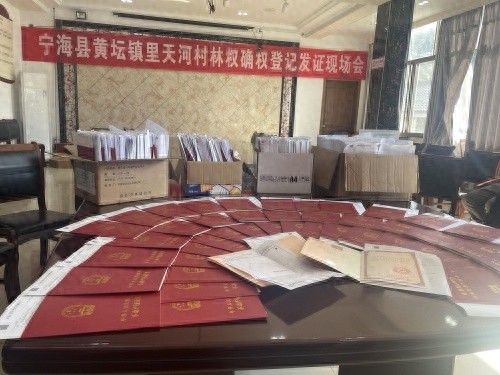 宁海里天河村林权确权登记取得重大突破！978本证书颁发背后有何创新解法？  第1张