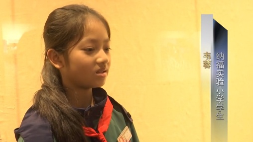 纳福实验小学的孩子们为何对布依族文化如此着迷？揭秘他们的文化探索之旅  第4张