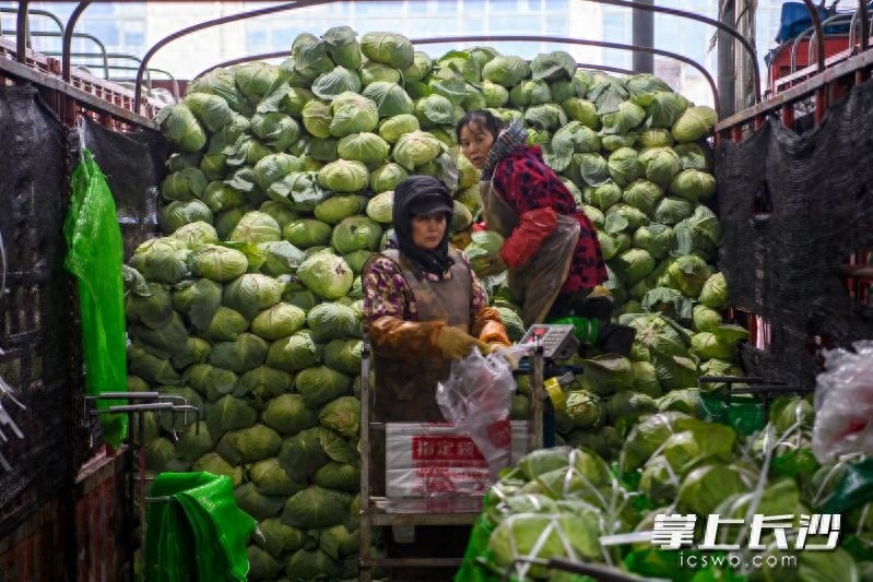 倒春寒来袭，长沙市民的‘菜篮子’还能稳得住吗？  第1张