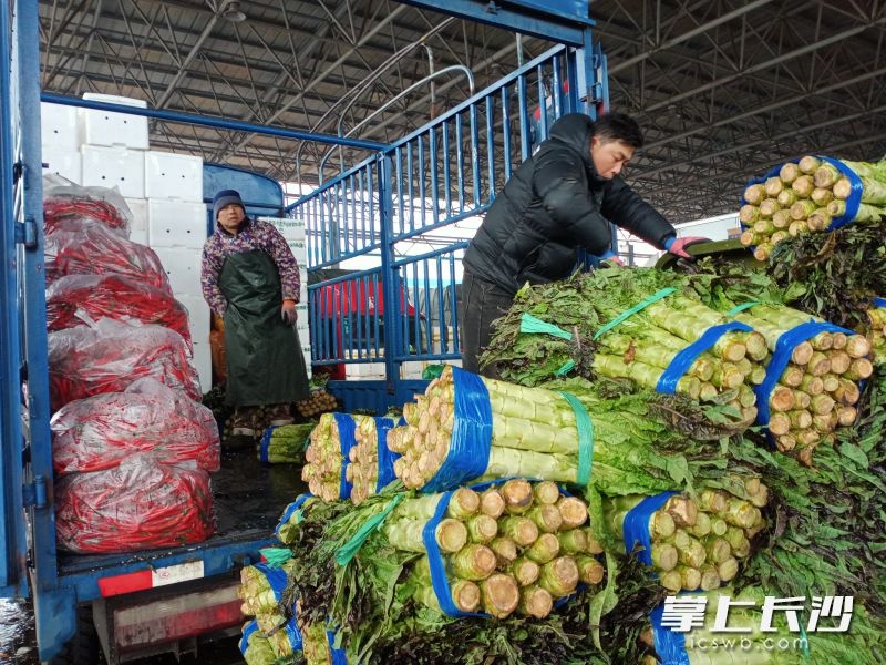 倒春寒来袭，长沙市民的‘菜篮子’还能稳得住吗？  第2张