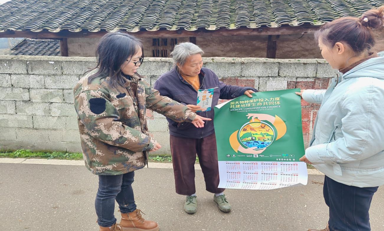 探秘黔南生物多样性的基因密码，你准备好加入这场生态保护之旅了吗？  第3张
