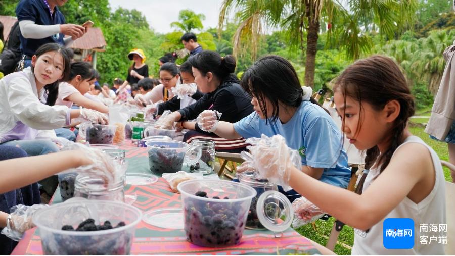 兰洋镇清明活动超有趣！你不想体验一下吗?  第3张