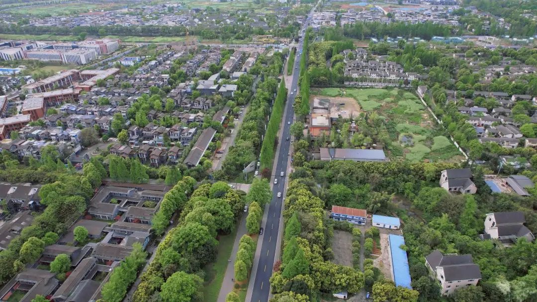 五一期间都江堰市公共交通客流约80.74万人次？增长数据惊人  第4张