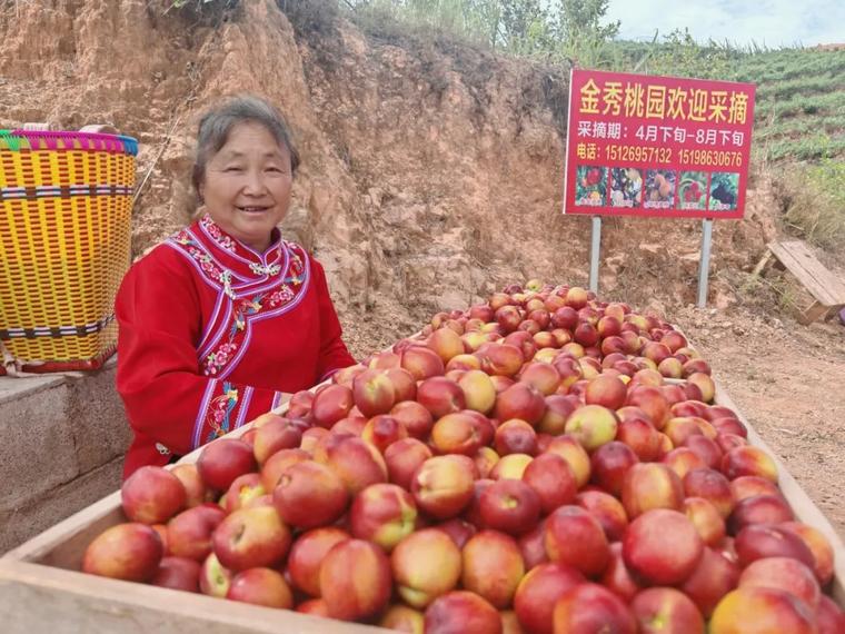 五一假期好去处？瓜果飘香的广南县莲城桃园等你来  第7张