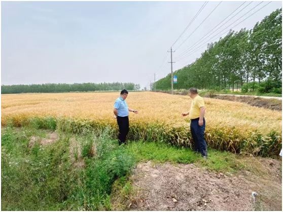 市国土整治与征地事务中心为何对这些工作开展现场督办？背后有何深意  第2张