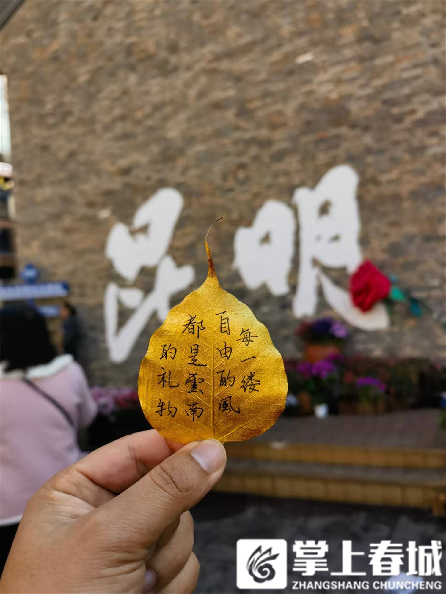 昆明老街惊现超火书法艺术墙！传统书法与现代网红打卡点的碰撞？  第4张