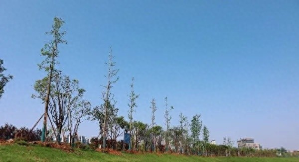曾经因露营经济陷入生态困局的捞刀河畔，如今怎样了？