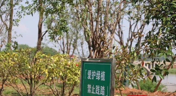 曾经因露营经济陷入生态困局的捞刀河畔，如今怎样了？  第2张