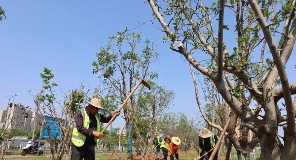 曾经因露营经济陷入生态困局的捞刀河畔，如今怎样了？  第3张
