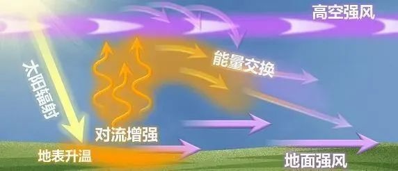 假期后首个工作日升温明显！上海大风天气多发之谜？  第2张