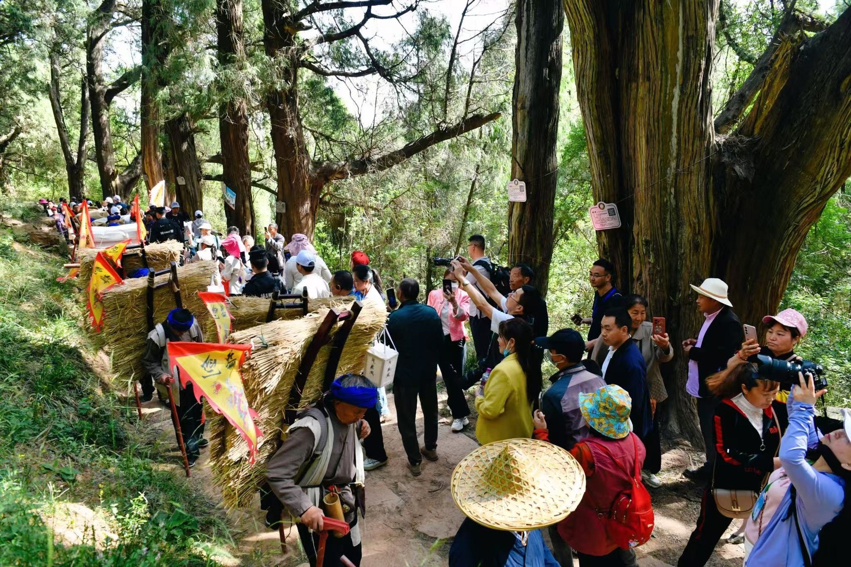 五一假期去剑门关！用脚步丈量‘一夫当关，万夫莫开’的震撼？  第2张