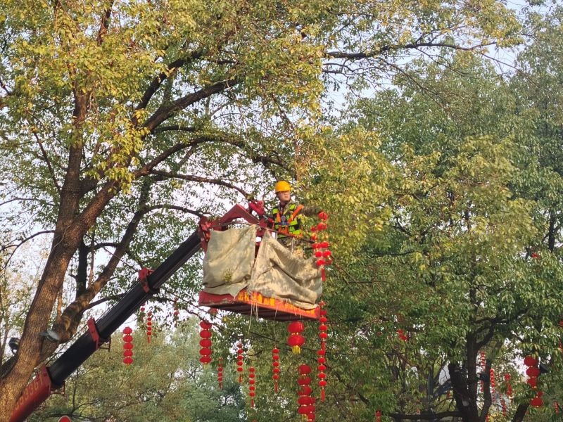 枝江市街头大红灯笼高挂，新年气氛瞬间拉满！你感受到了吗？  第2张