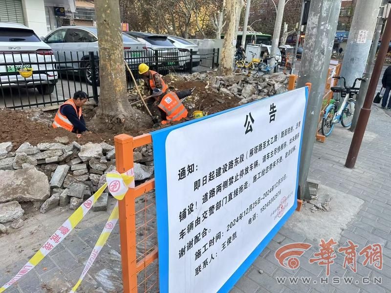 西安太乙路大树被拦头截断，几十年法国梧桐去向成谜！它们还能活下去吗？  第2张