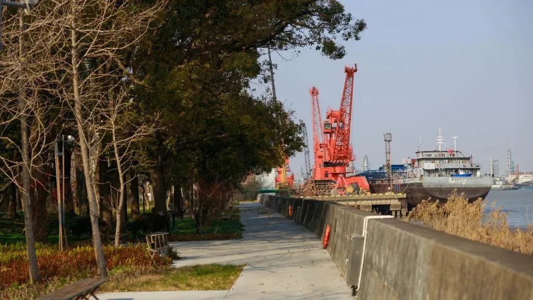 杨浦区新开放的共青森林公园绿道，670米的自然美景等你来探索  第6张