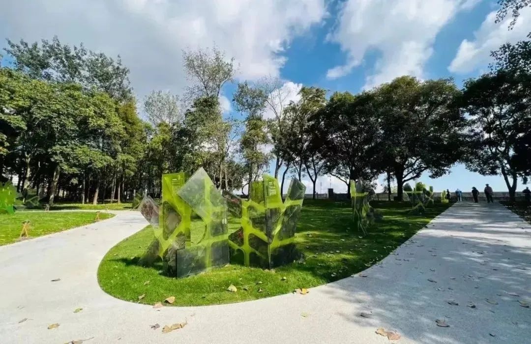 杨浦区新开放的共青森林公园绿道，670米的自然美景等你来探索  第8张