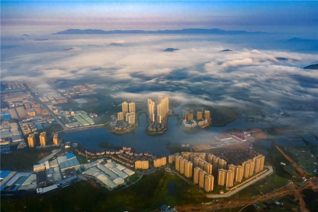 新会2025年新春第一会，如何吹响高质量发展号角？
