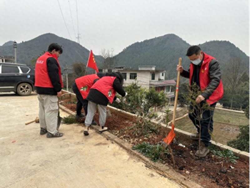你挥锄挖坑、我扶苗培土、他浇水灌溉，植树活动为何如此热闹？