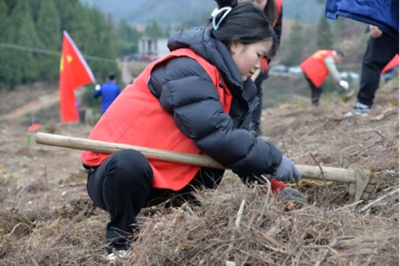 你挥锄挖坑、我扶苗培土、他浇水灌溉，植树活动为何如此热闹？  第11张