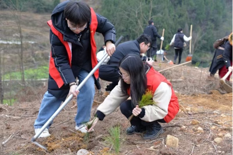 你挥锄挖坑、我扶苗培土、他浇水灌溉，植树活动为何如此热闹？  第12张