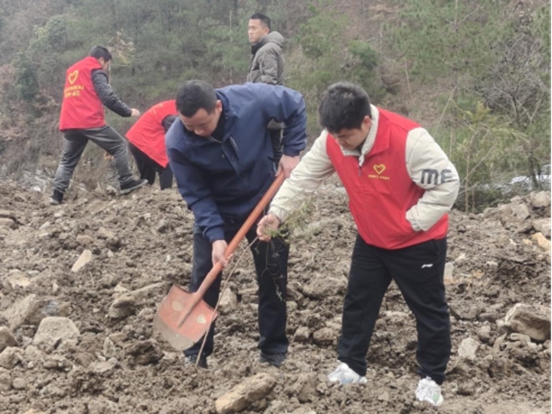 你挥锄挖坑、我扶苗培土、他浇水灌溉，植树活动为何如此热闹？  第7张