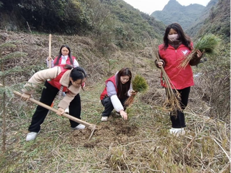 你挥锄挖坑、我扶苗培土、他浇水灌溉，植树活动为何如此热闹？  第10张