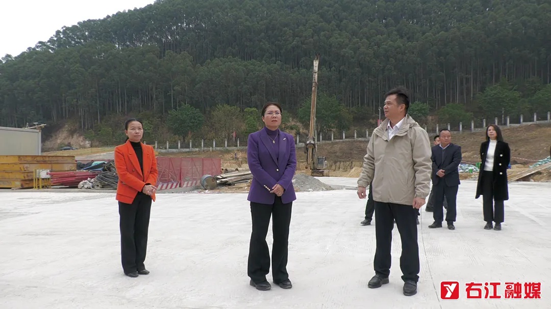 右江区重点项目进展如何？黄合新区长亲自调研，现场解决难题  第2张