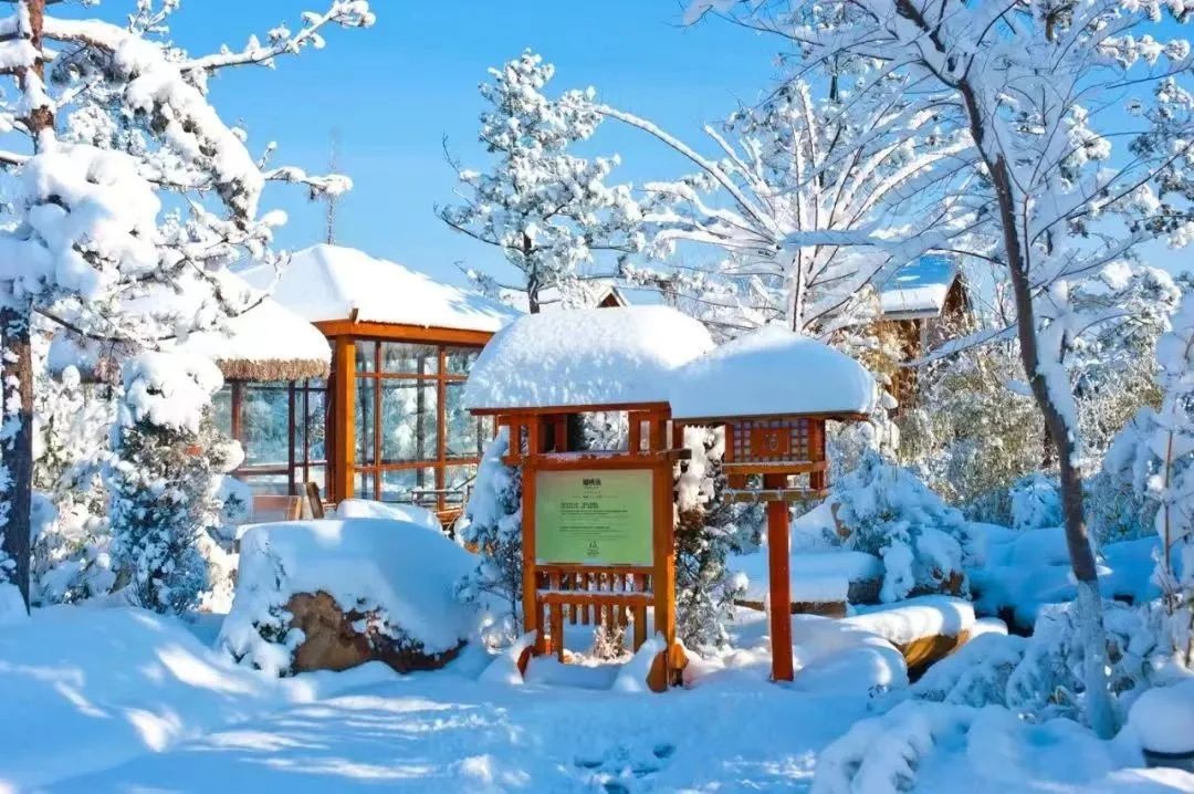 山东寒潮来袭，最低温-15℃！泡温泉成最佳解寒方式，你准备好了吗？  第22张
