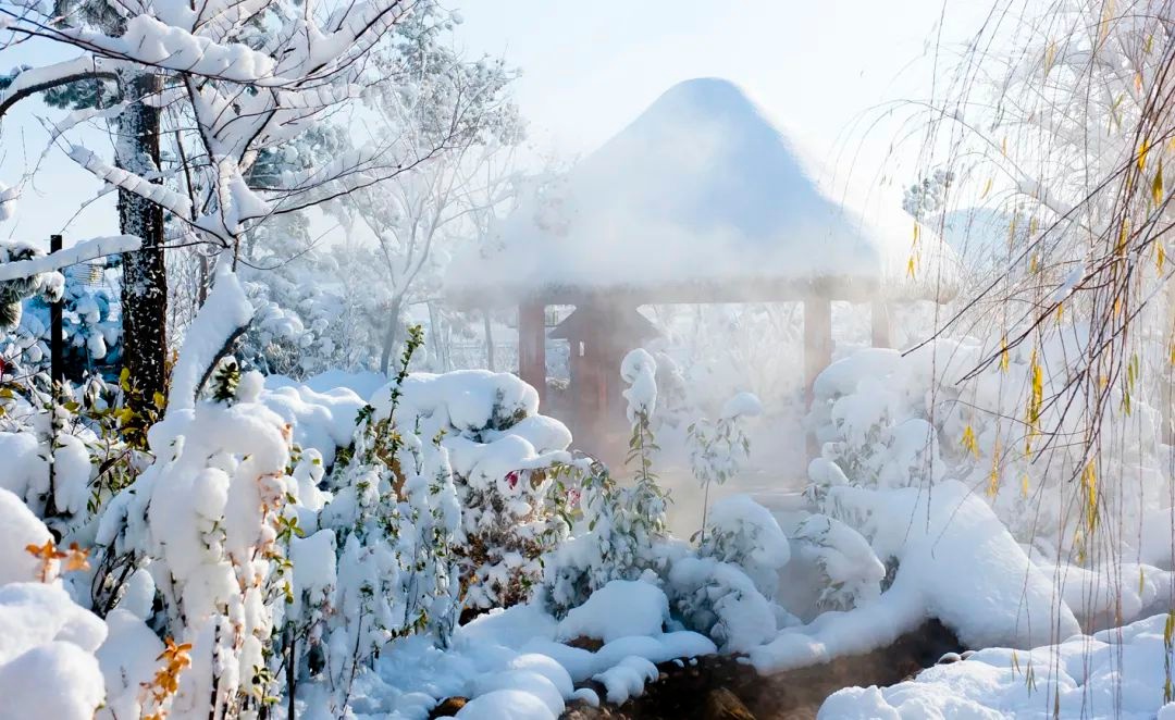 山东寒潮来袭，最低温-15℃！泡温泉成最佳解寒方式，你准备好了吗？  第24张