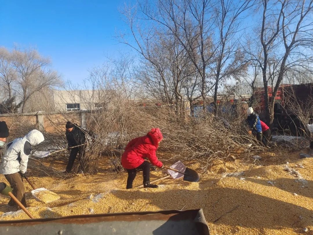 玉米散落一地，谁料爱心接力悄然展开！你猜发生了什么？  第3张