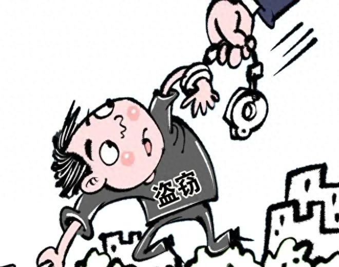 七年悬案终告破！胡某某盗窃案如何破解零口供困局？  第1张