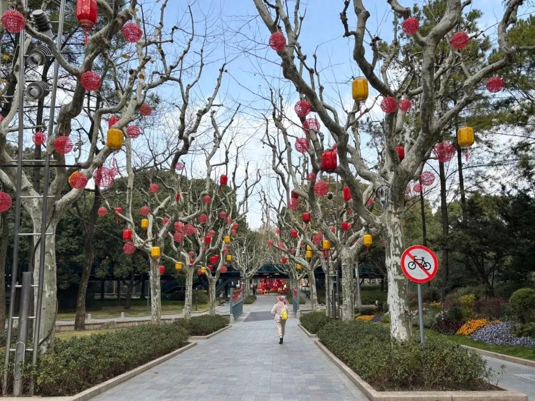 蛇年首场寒潮来袭上海! 气温骤降你准备好了吗?  第1张
