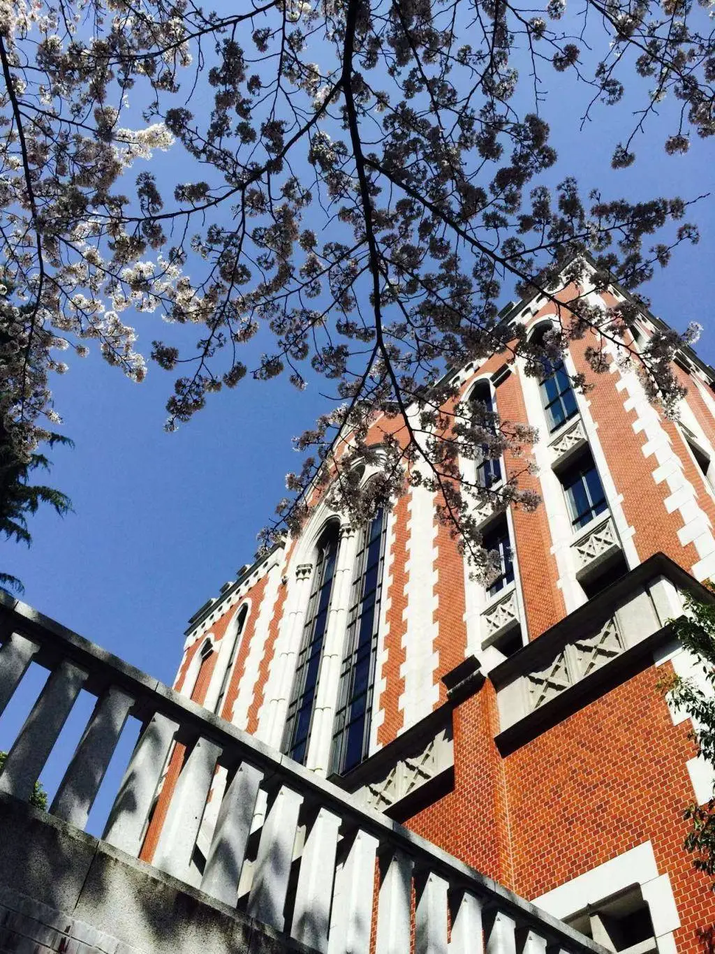 早稻田VS庆应：日本名门私立大学，谁更吸引中国留学生？  第5张