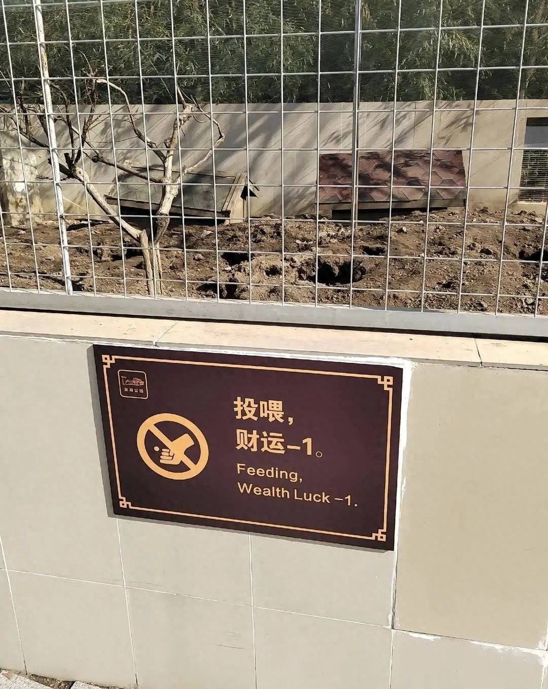 动物园告示牌为何被迫拆除？揭秘春节投喂现象背后的惊人真相