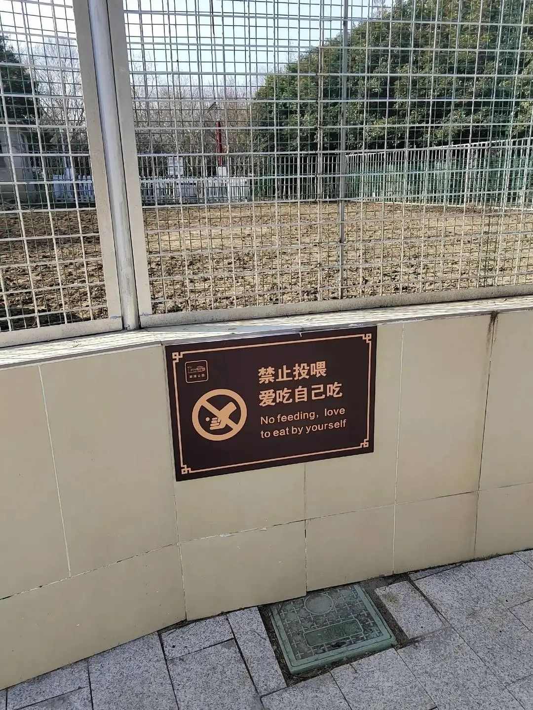 动物园告示牌为何被迫拆除？揭秘春节投喂现象背后的惊人真相  第3张