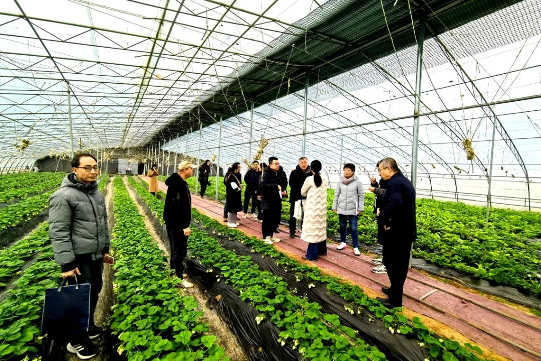 盐湖区如何借助春节契机，打造人才强市新篇章？  第5张