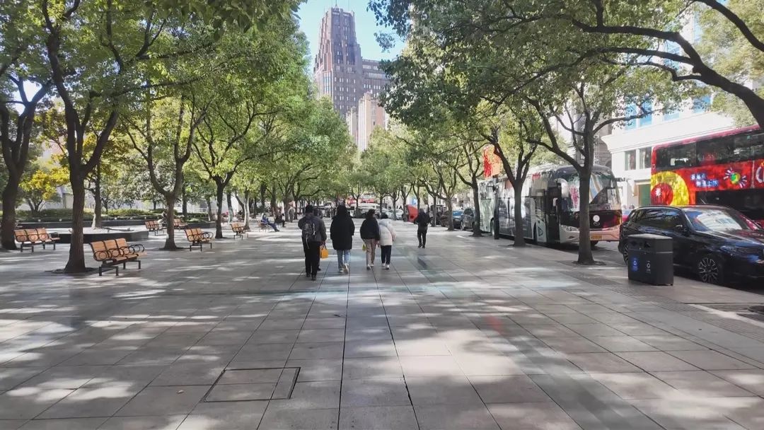 寒潮来袭!上海今日阵风7-8级,气温降至0℃,你准备好了吗? 第4张 寒潮来袭!上海今日阵风7-8级,气温降至0℃,你准备好了吗? 第4张