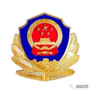 凤凰县禁停新规来袭！你的车停对地方了吗？
