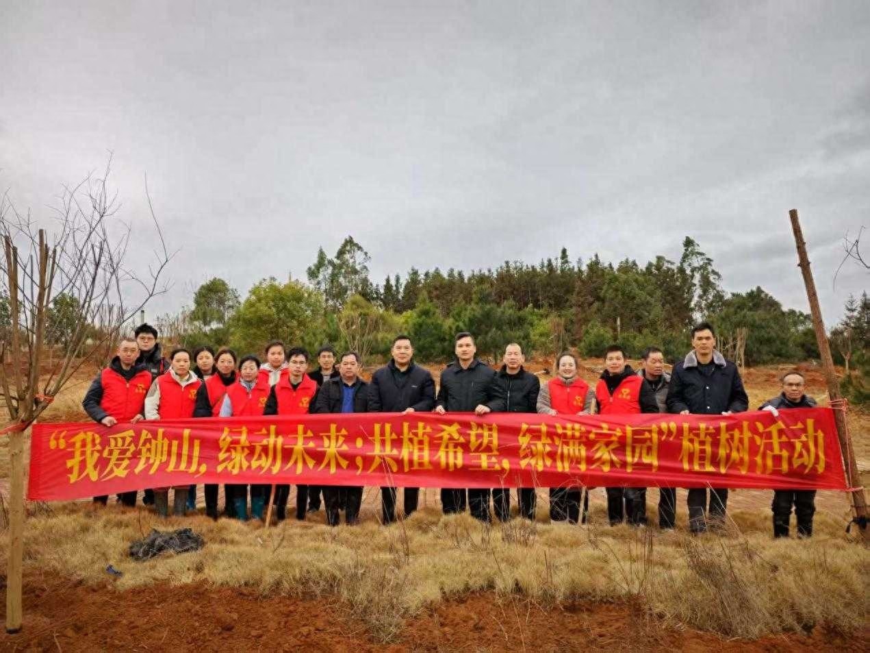160余名干部职工齐出动，311棵小叶紫薇树苗为何如此重要？  第1张